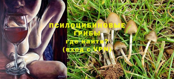 PSILOCYBIN Балахна